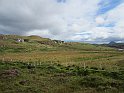 2014.08.21 Schottland - Stonechats Croft bei Ron in Sutherland (3005)